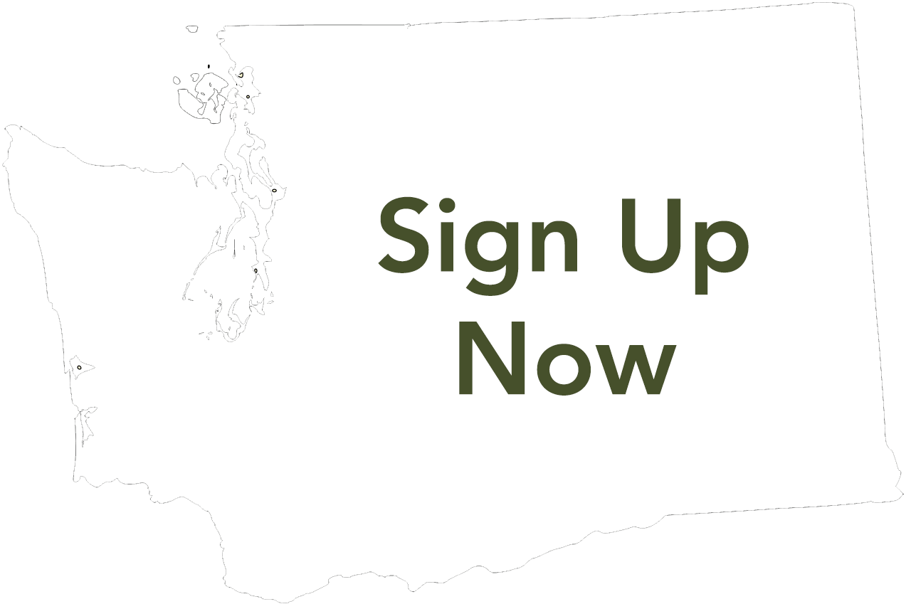 sign up now