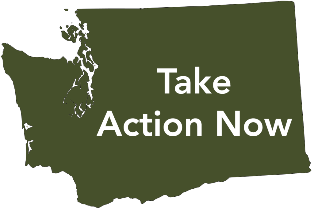 take action now