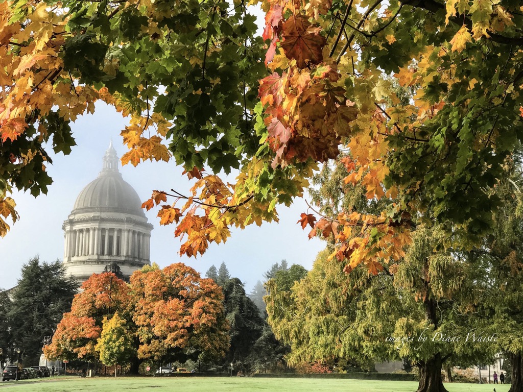 WA state capital in the Fall.